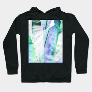 Tropical leaves Hoodie